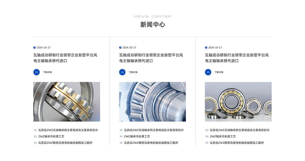 瓦轴集团网站建设案例